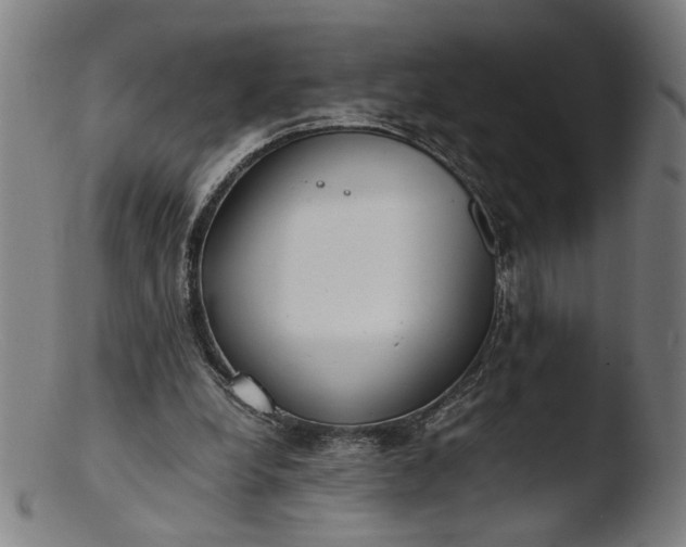 X0000103410248200809261650