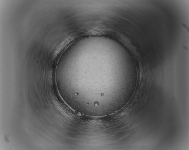 X0000103410250200809261650