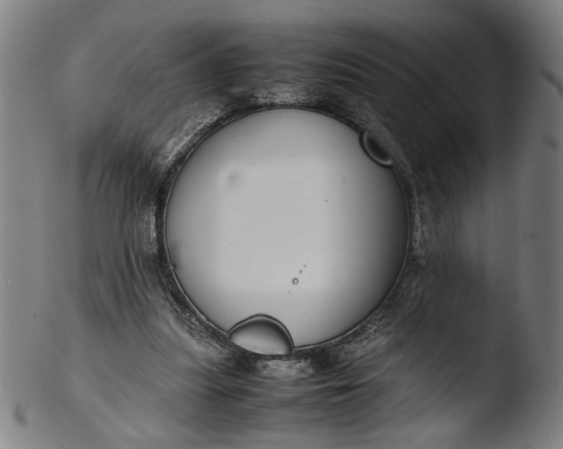 X0000103410251200809261650