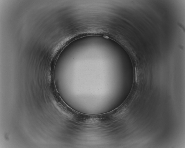 X0000103410252200809261650