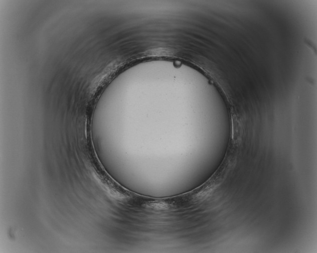 X0000103410253200809261650