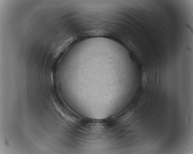 X0000103410254200809261650