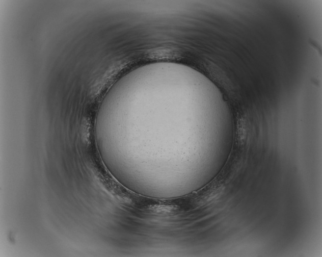 X0000103410255200809261650