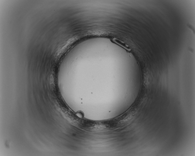 X0000103410256200809261650