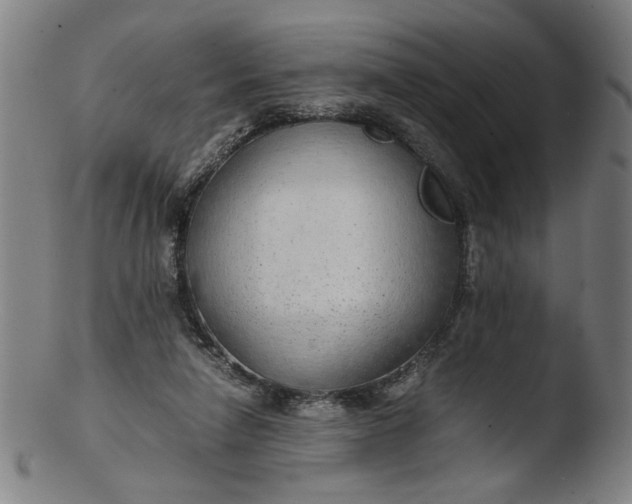 X0000103410258200809261650