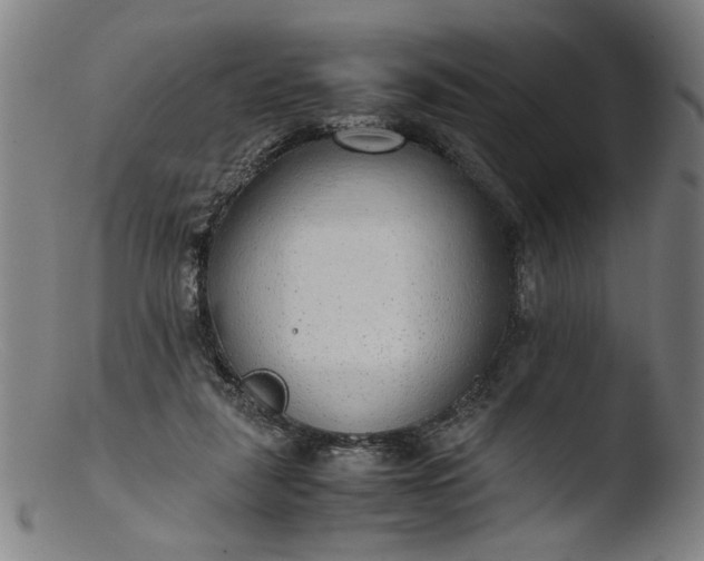 X0000103410259200809261650