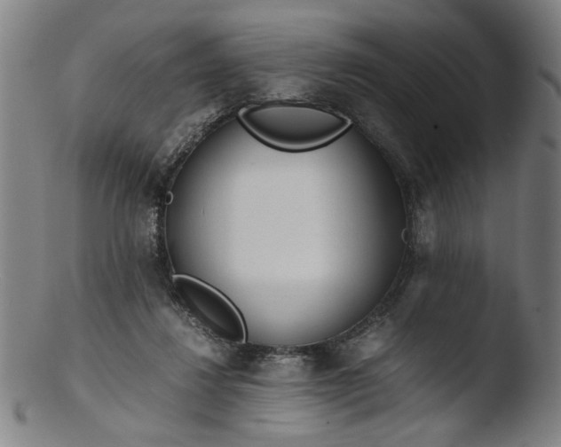 X0000103410260200809261650