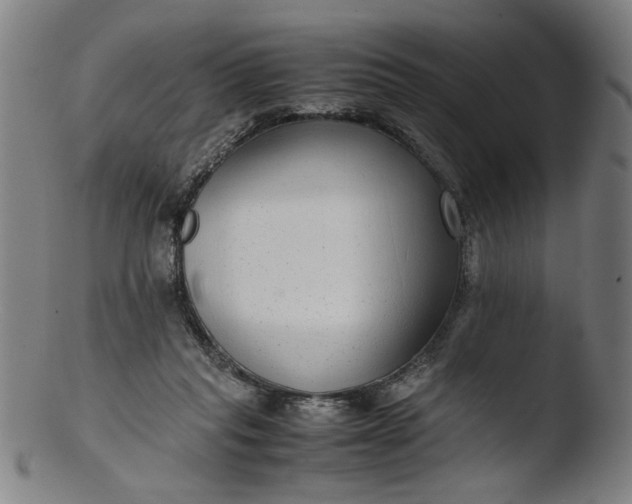 X0000103410261200809261650