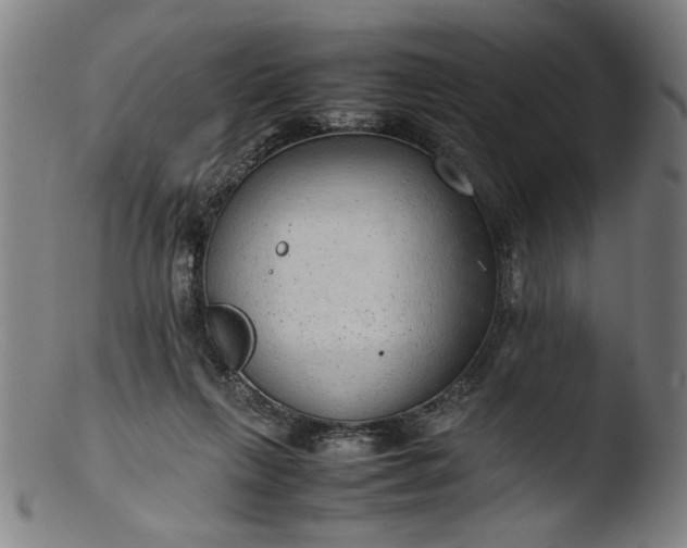 X0000103410263200809261650