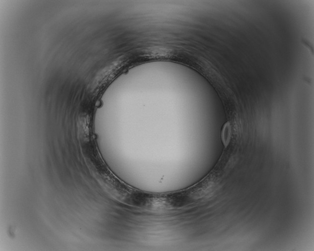 X0000103410264200809261650