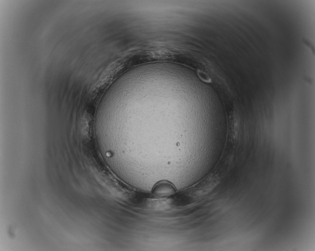 X0000103410266200809261650