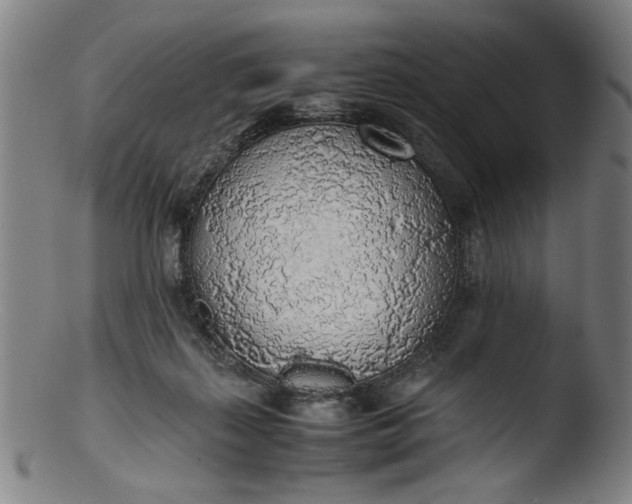 X0000103410267200809261650