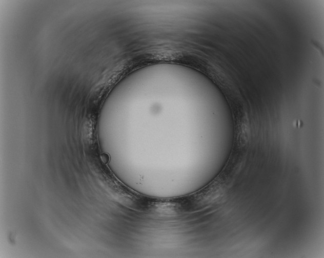 X0000103410268200809261650