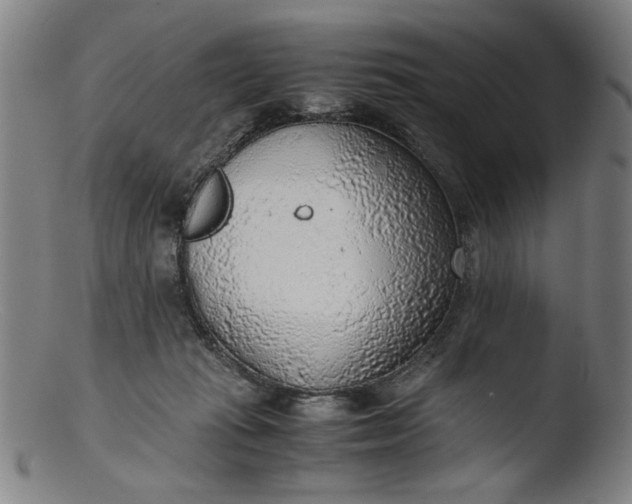 X0000103410269200809261650