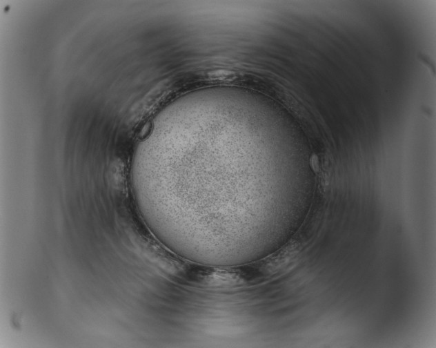 X0000103410270200809261650