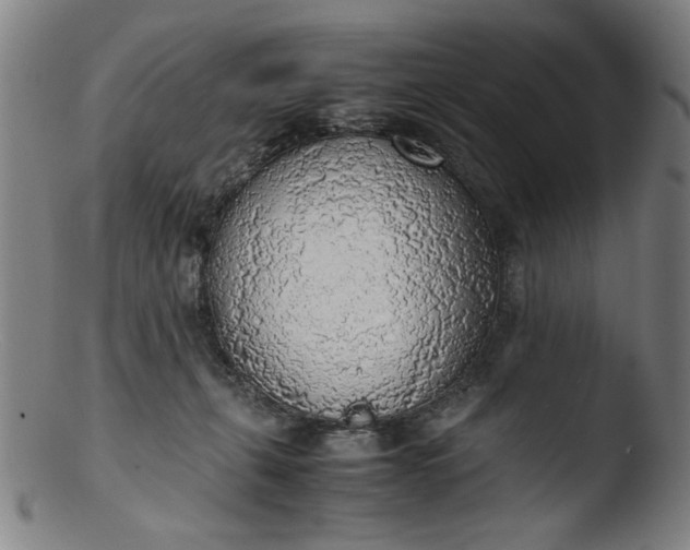 X0000103410271200809261650