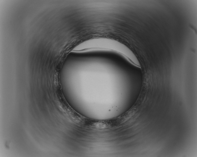 X0000103410272200809261650