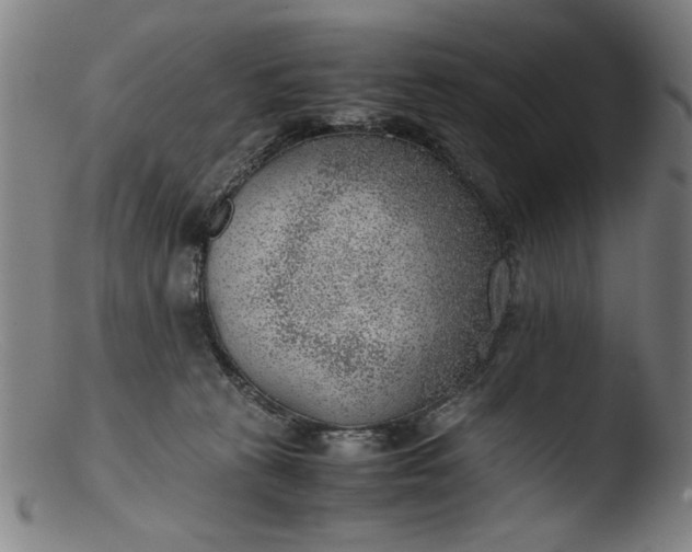 X0000103410273200809261650