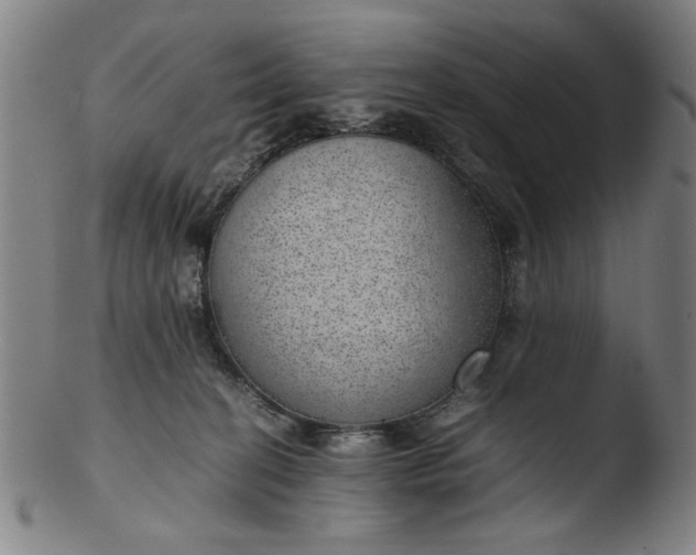 X0000103410274200809261650