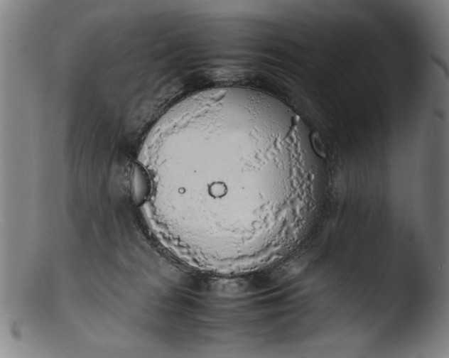 X0000103410277200809261650