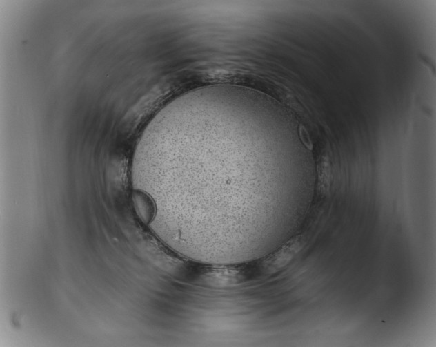 X0000103410278200809261650