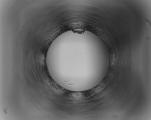 X0000103410279200809261650