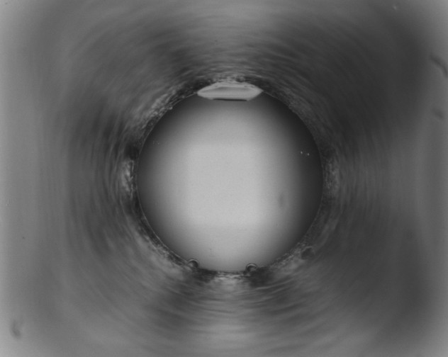 X0000103410280200809261650