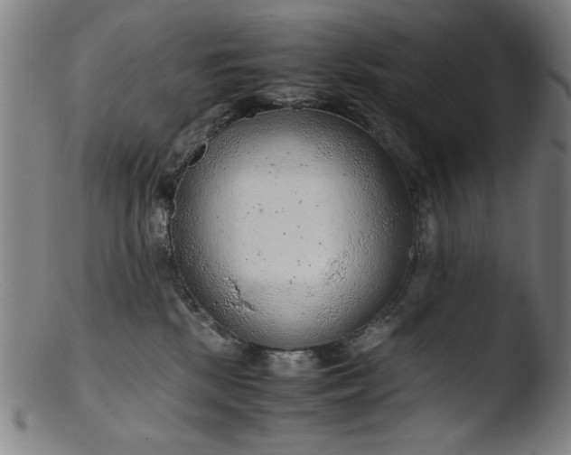 X0000103410281200809261650