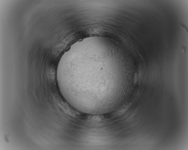 X0000103410282200809261651