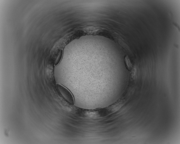 X0000103410283200809261651