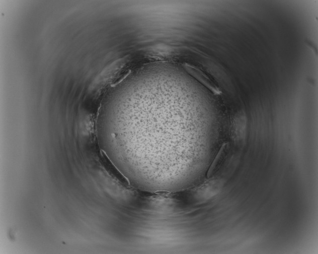 X0000103410284200809261651