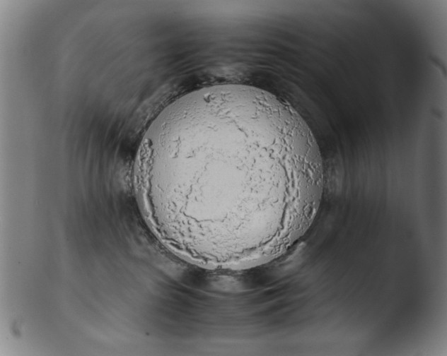 X0000103410285200809261651