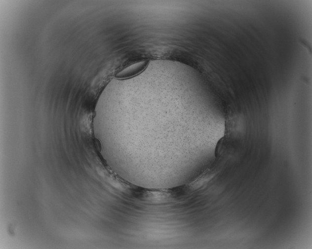 X0000103410286200809261651