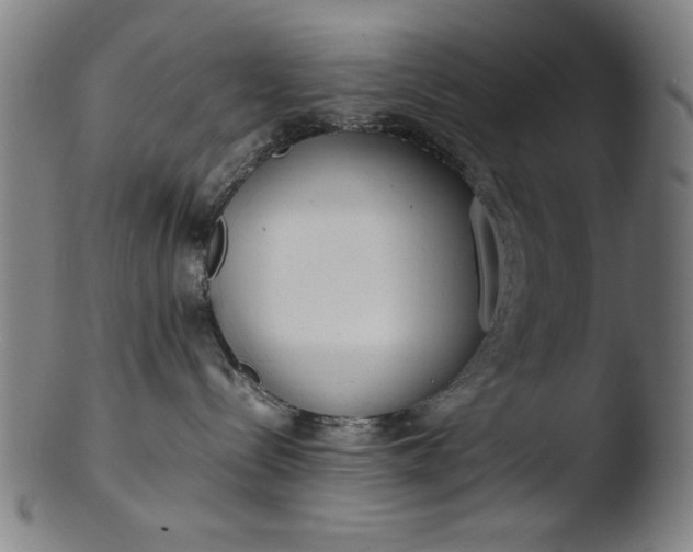 X0000103410288200809261651