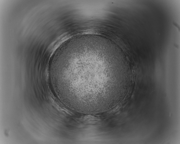 X0000103410290200809261650