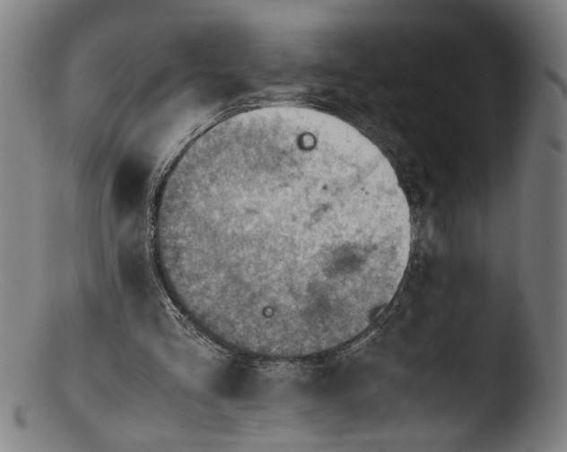 X0000103410293200809261650