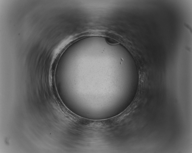 X0000103410294200809261650