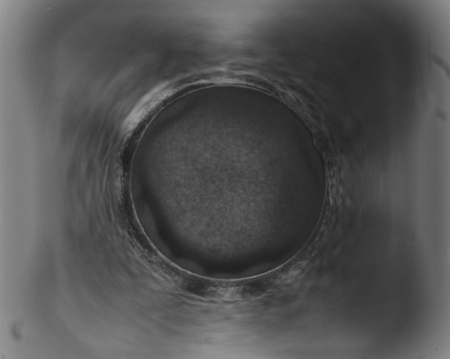 X0000103410295200809261650