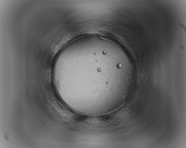 X0000103410299200809261650