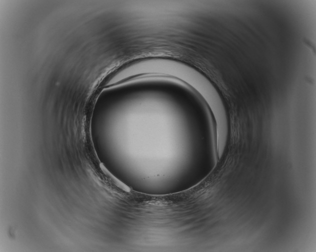 X0000103410300200809261650