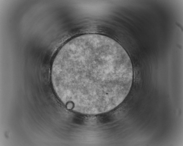 X0000103410301200809261650