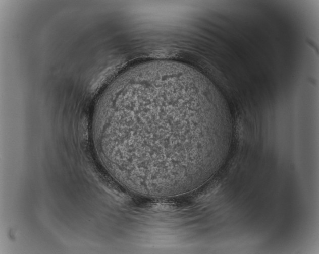 X0000103410303200809261650