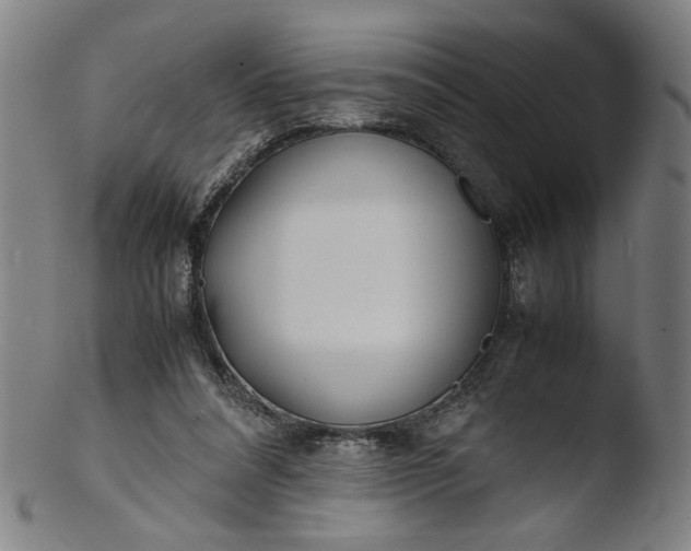 X0000103410304200809261650