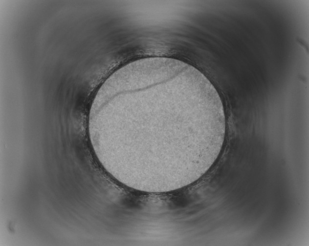 X0000103410305200809261650