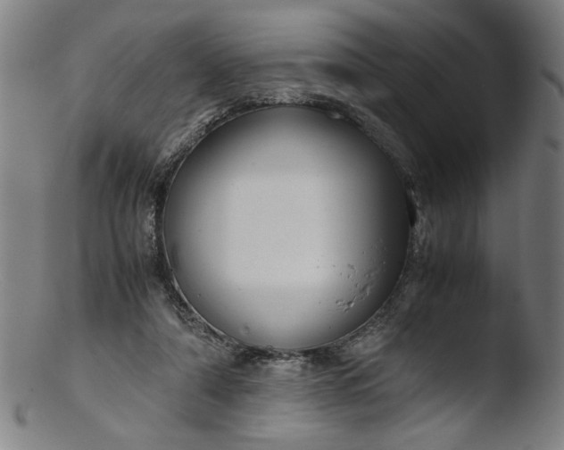 X0000103410306200809261650