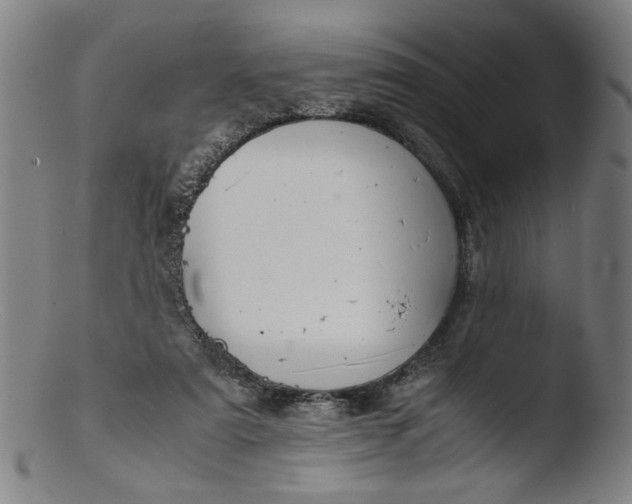 X0000103410307200809261650