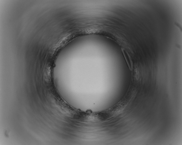 X0000103410308200809261649