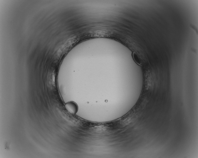 X0000103410310200809261649