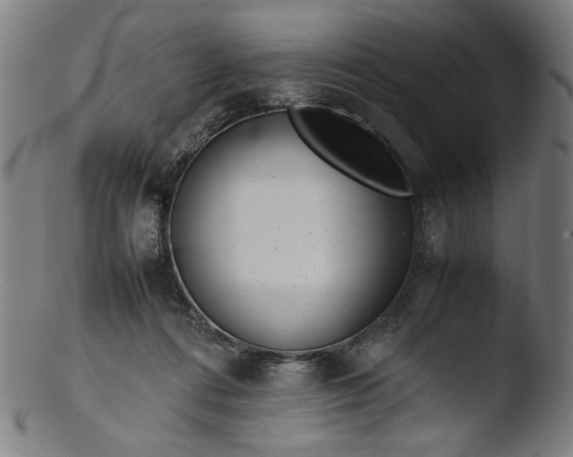 X0000103410312200809261649