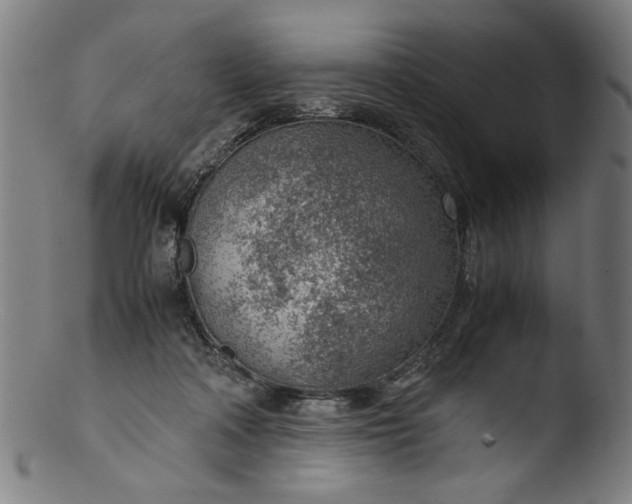 X0000103410314200809261649